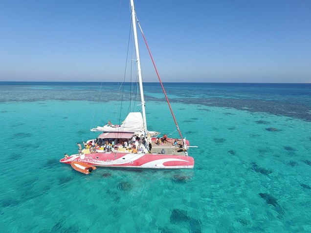 ocean diva catamaran sailing tours el gouna