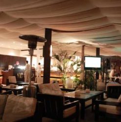 Mojo Lounge and Grill: Star Gazing amidst the Construction Sights