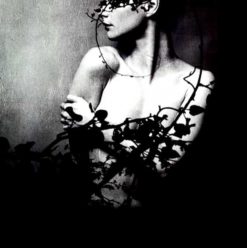 Safar Khan: Marwa Adel