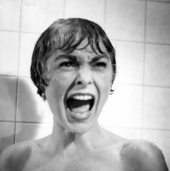 The Directors’ Collections You Must Own