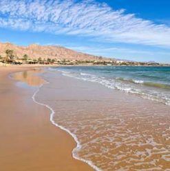 No Plans Yet for Sham El Neseem? Read This!