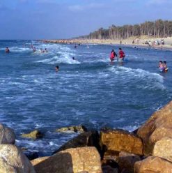 Al-Arish: Time to Relax