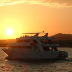 Yacht Rental at Ain Sokhna: Sail Away, Sail Away