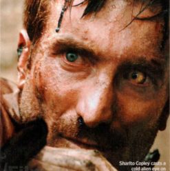 District 9: Alien Apartheid