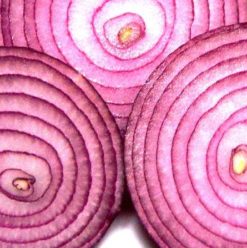 The Red Onion: A Maadi Favourite that’s Always in Style