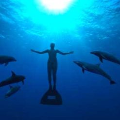 The Cove: Thought-Provoking, Award-winning Documentary