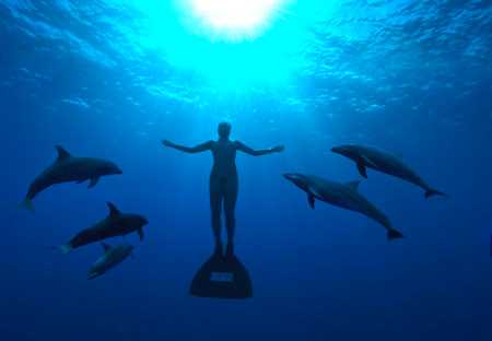 The Cove: Thought-Provoking, Award-winning Documentary