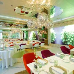 La Maison Blanche: Fantastic Winter Wonderland at the First Place