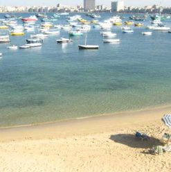 Ahsan Nas: A Native’s Guide to Alexandria