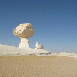 Bahareya Oasis: A 4×4 Excursion into the Black and White Desert