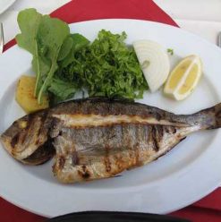 Fish Market: Fresh Fish With A Sunset View