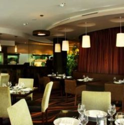 Fuego Grill and Sushi Bar: Fusion Food for Thought