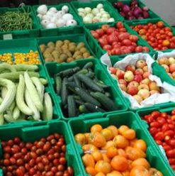 A Foodie’s Guide to Vegetable Shopping in Cairo