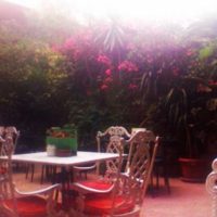 Café De Paris: Zamalek’s Cosy Outdoor Shisha & Sandwich Spot
