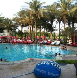 Royal Club Mohamad Ali: Where Posh Meets Practical