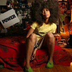 Erykah Badu: New Amerkyah Pt. 2: Return of the Ankh