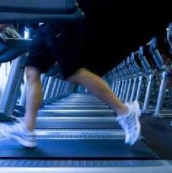 World Gym: Heliopolis’ Answer to Gold’s