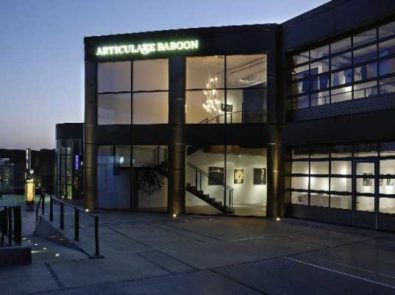 Articulate Baboon Gallery