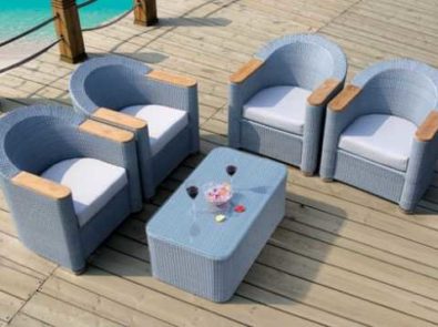 Zamia Designs