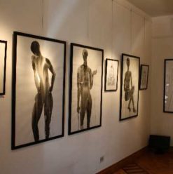 Lot 17: Black or White Exhibit