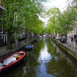 Cairo to Amsterdam: Go Dutch!