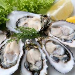 Flying Fish: Cairo Seafood Out of This World