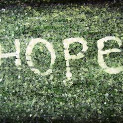 Refugee Film Festival: A Call for Hope