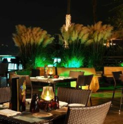 Jayda: So Much Potential, So Little Effort