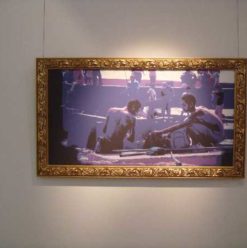 Lot 17: Summertime Exhibit