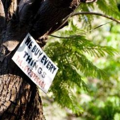 Cairo Guide: A Walk on the Quiet Side in Maadi