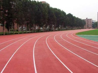 The Olympic Center For Training National Teams