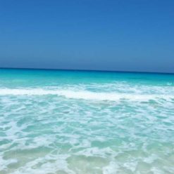 Sahel Guide: The Best of North Coast Parties for 5/8 Weekend