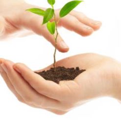 Organic & More: Egyptian and German Natural Fare