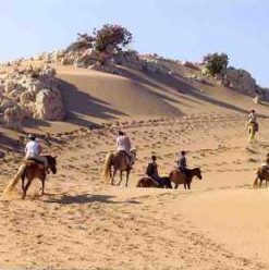 FB Stables: Horseback Riding near The Giza Pyramids