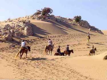 FB Stables: Horseback Riding near The Giza Pyramids