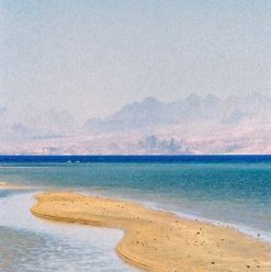 Nuweiba Camp: A Guide to The Good Life