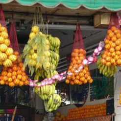 Soliman Pasha: Juice for the Masses