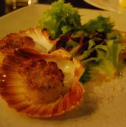 Rossini: Lost at Sea