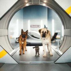Cats & Dogs: The Revenge of Kitty Galore