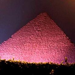 Race for the Cure: Second Race for Cancer Awareness in Cairo