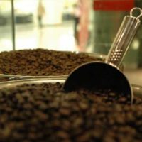 La Wien: Calling Cairo's Coffee Lovers