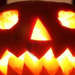 Halloween in Cairo: Everything You Need to Know