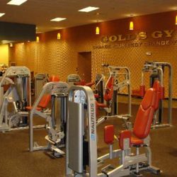 Global Sports Co. Gold’s Gym