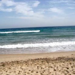 Soft Beach:  A Treasured Nuweiba Camp