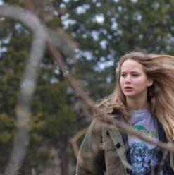 Winter’s Bone: The Most Unlikely Detective