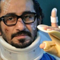 Bolbol Hayran : A Lovebird on the Fence