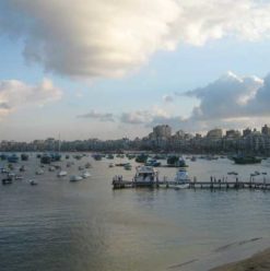 The Greek Club:  Seafood in Alexandria With A Great View