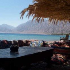 Freedom Camp: Basic Amenities, Great for Exploration