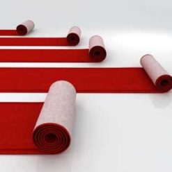 International Cairo Film Festival: 34th Edition