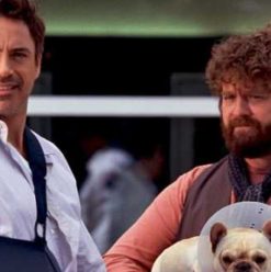 Due Date: Two Guys on a Road Trip